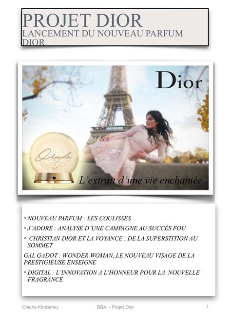 christian dior finance france